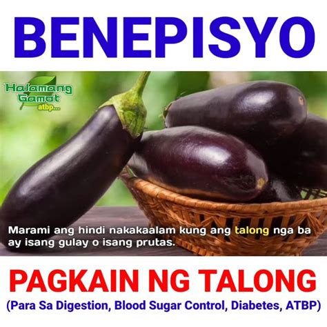 talong porn|Pinay Gumamit Ng Talong Para Maparaos Ang Libog .